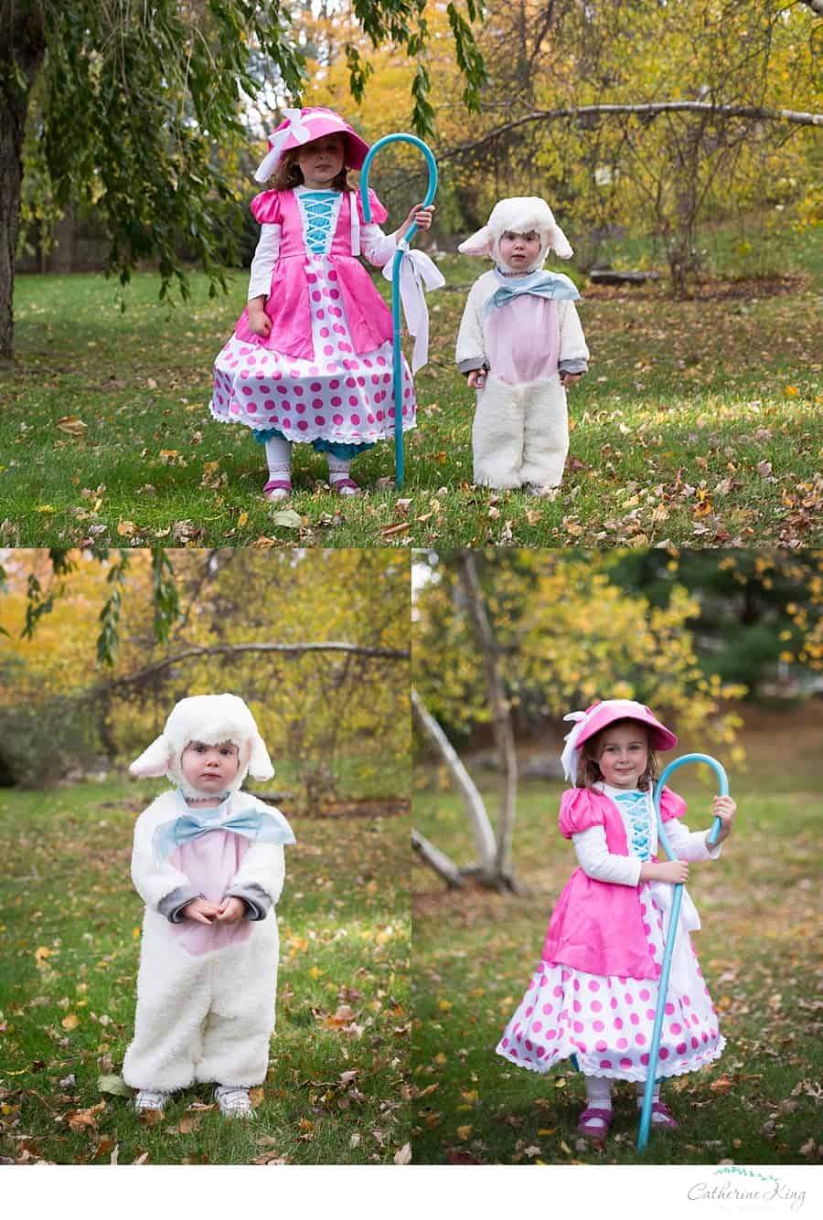 CT Children Photographer Halloween Mini photo session 4