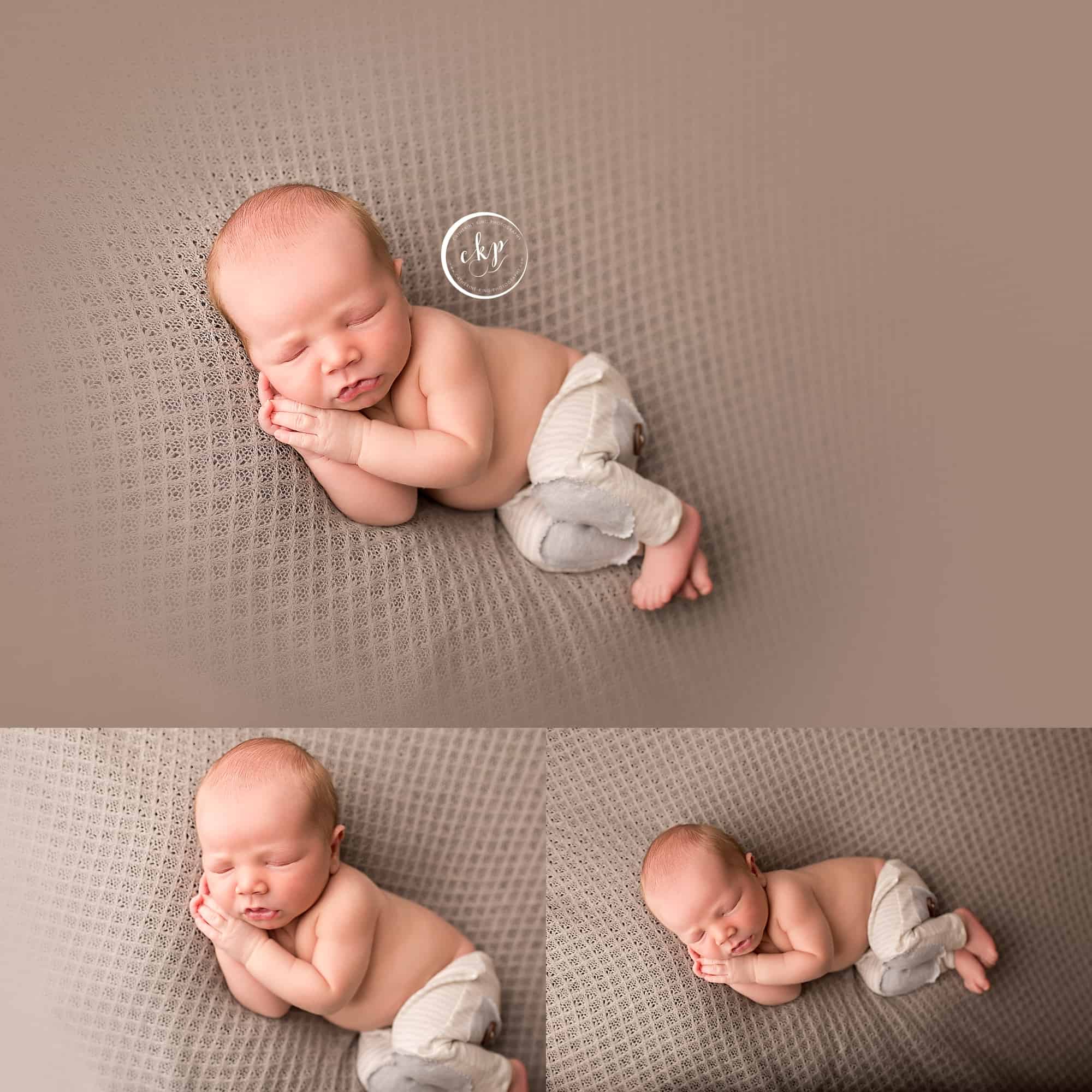 luca newborn photography in madison ct studio