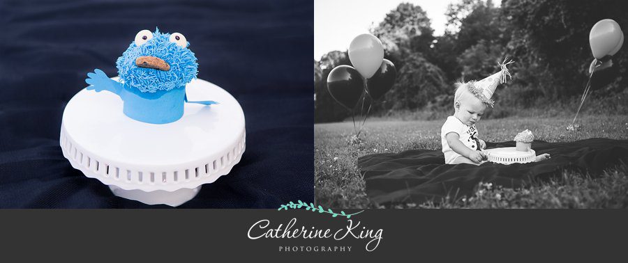 Smash cake session at Bauer Farms in Madison, CT  |  Connecticut Children Photographer