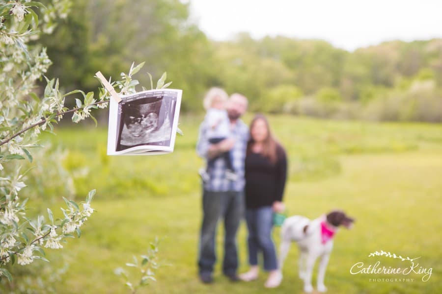 pregnancy announcement, madison ct, ct maternity photographer
