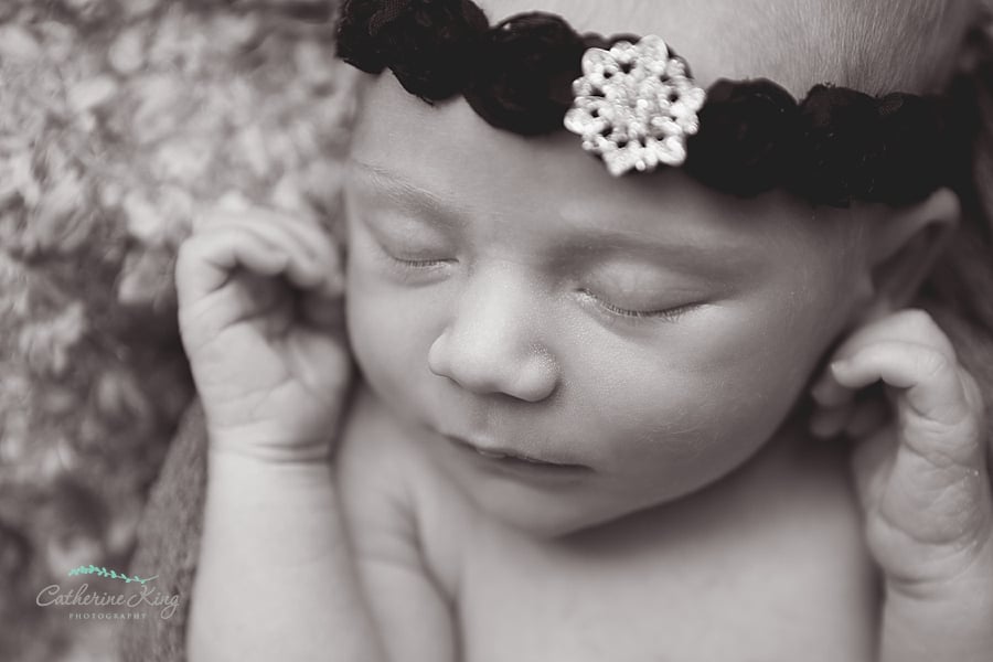Noelle newborn photography CT Newborn Photographers , Shoreline photographers