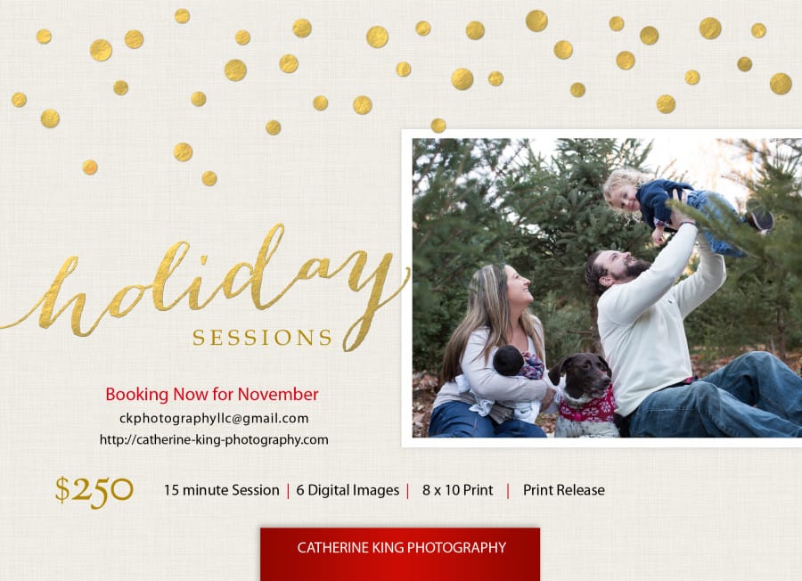 2015 holiday mini photo session in CT