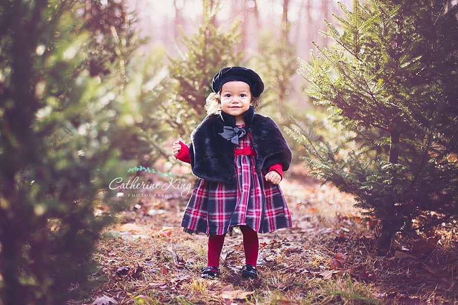 holiday mini sessions in ct 