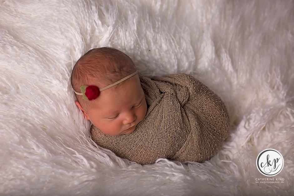 madsion ct newborn photographer brynn 5 days new 