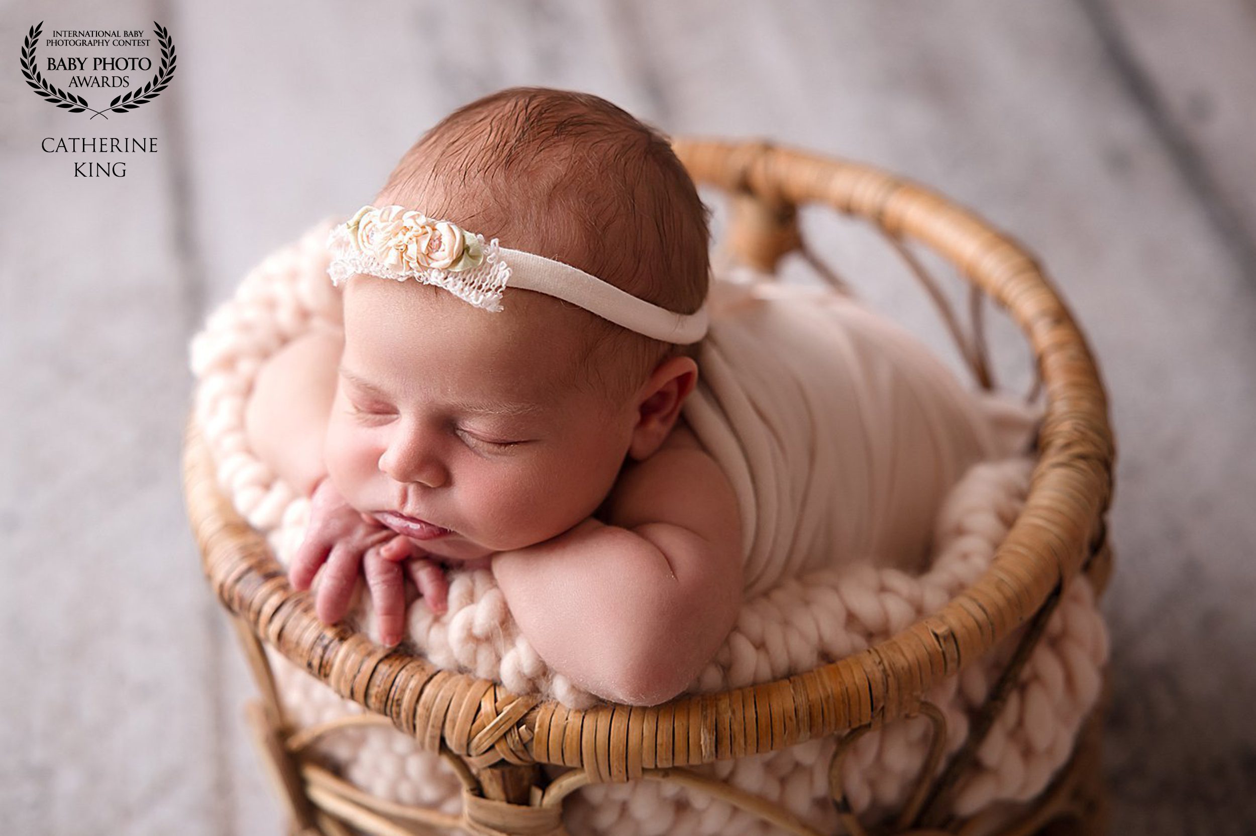 award winning newborn photographer in madison ct