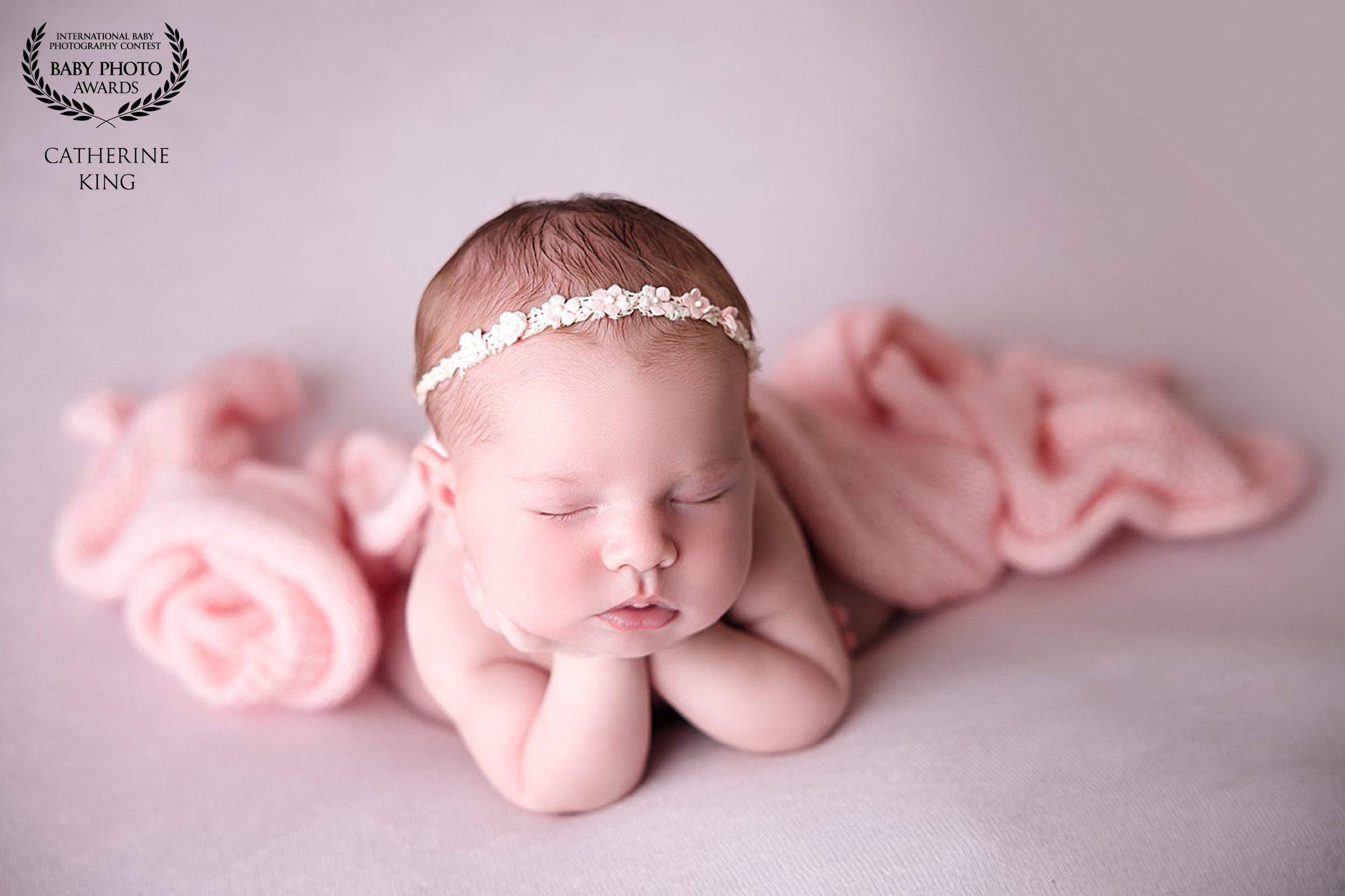 award winning photographer madison ct studio