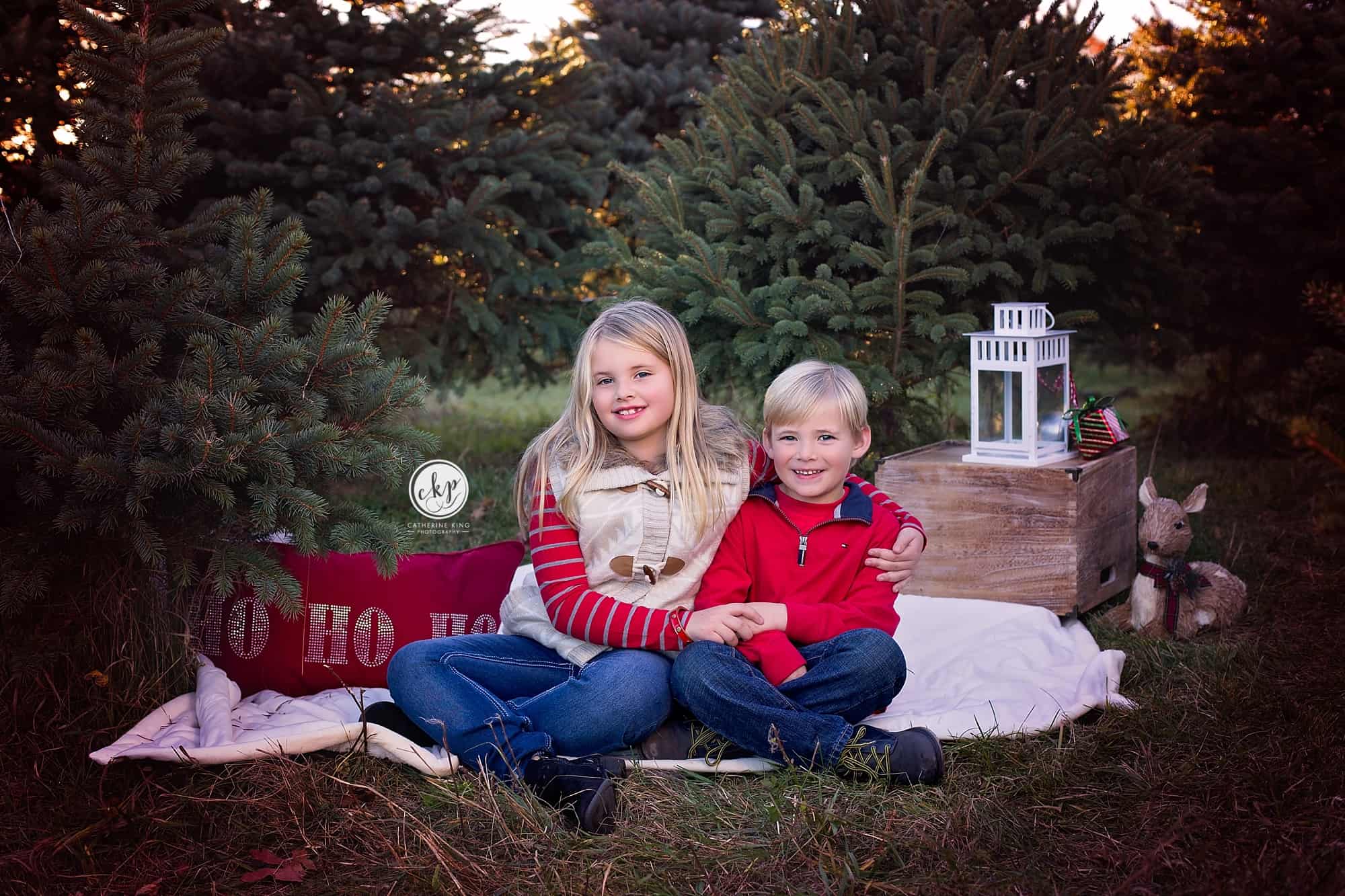 ct holiday mini photography sessions at christmas tree farm in durham ct