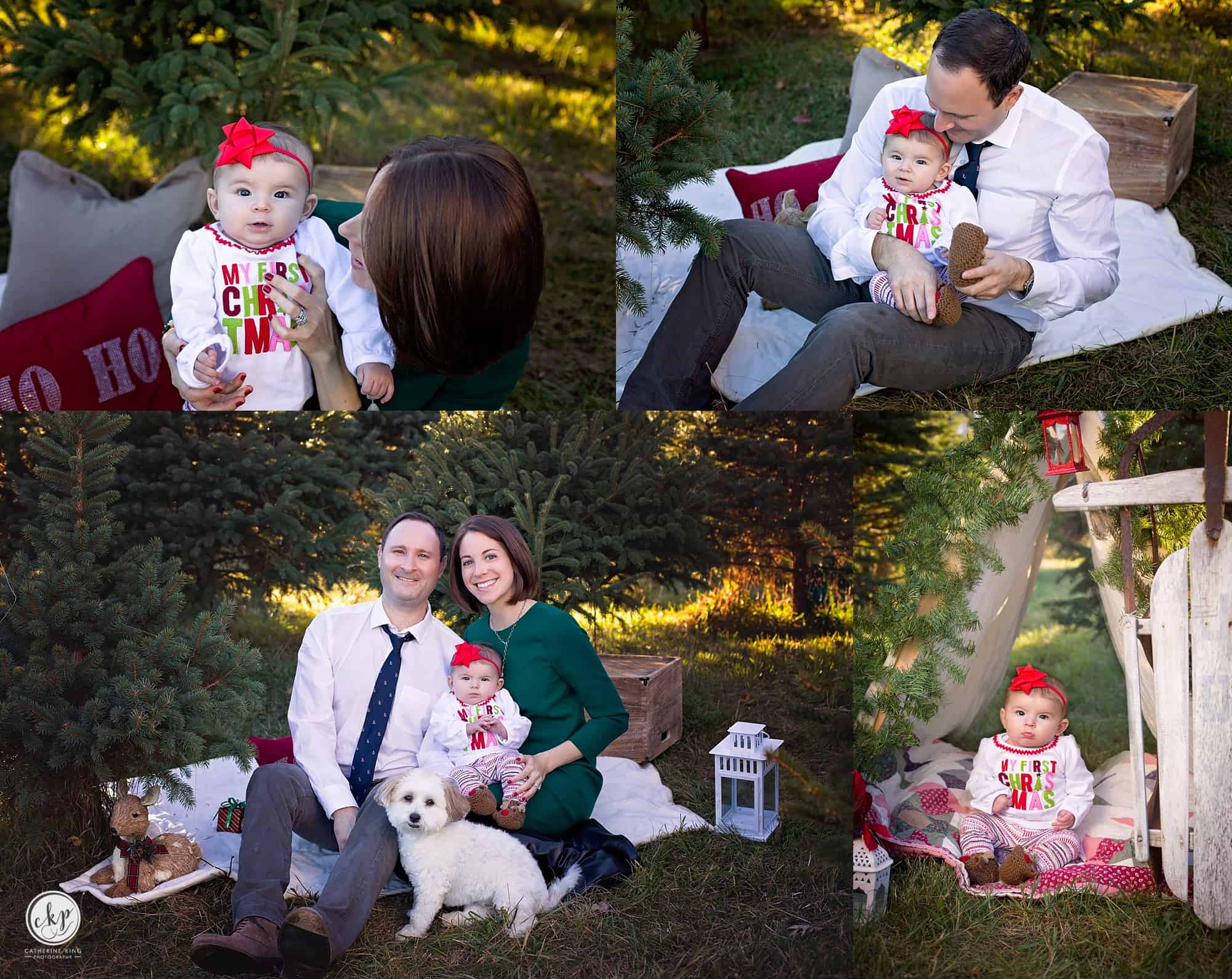 ct holiday mini photography sessions at christmas tree farm in durham ct