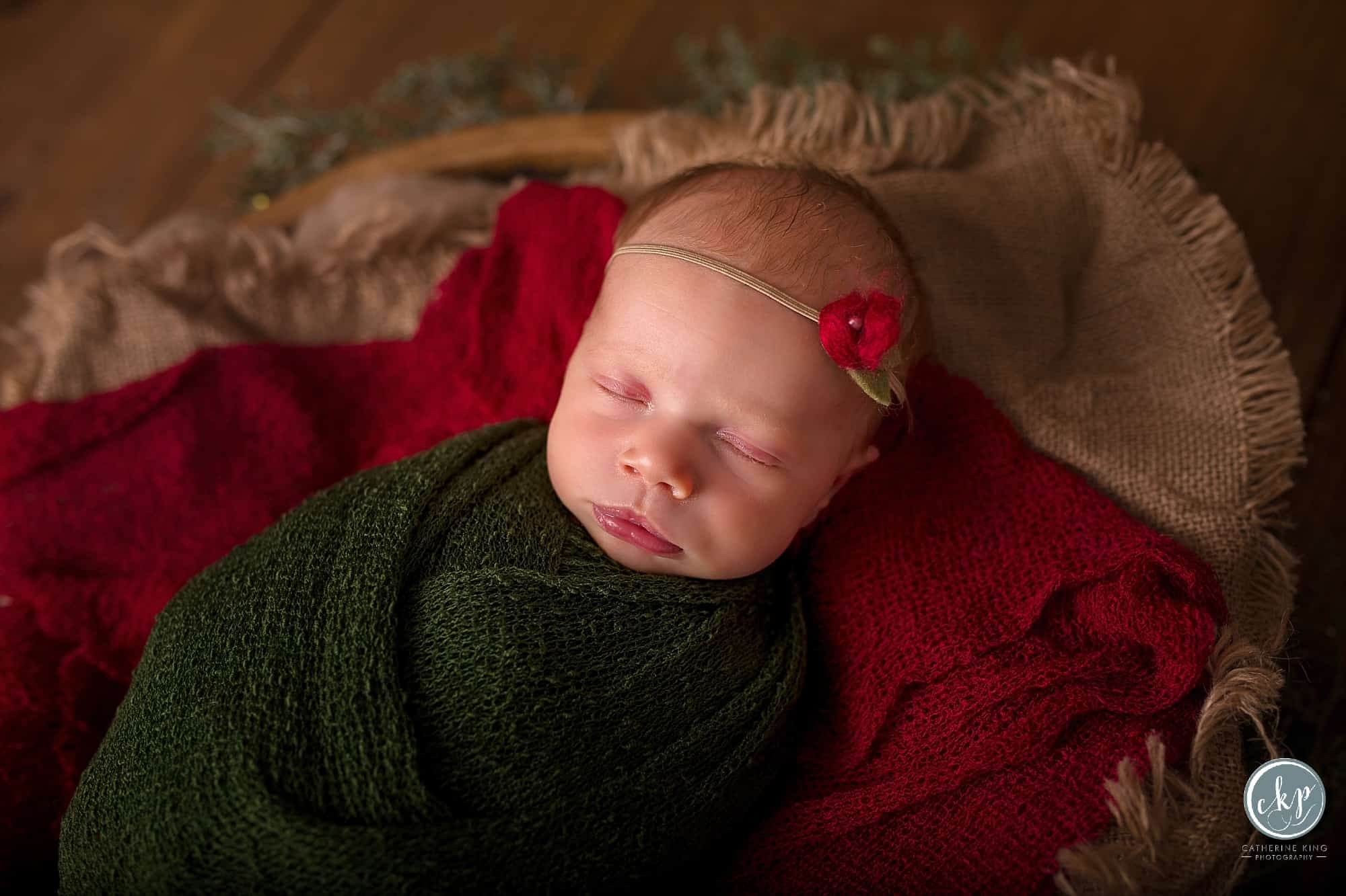 regan newborn photography by catherine king photography a madison ct newborn photographer