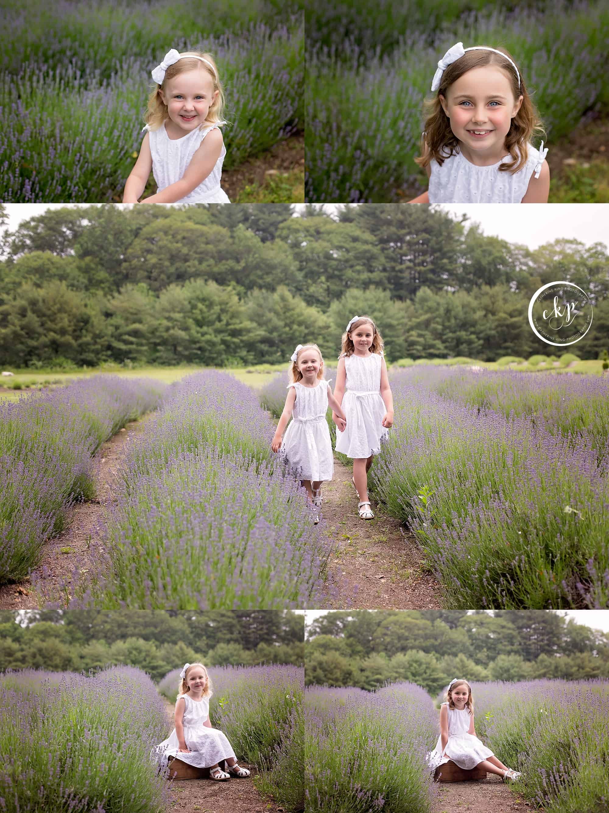 CT Lavender Photography mini session