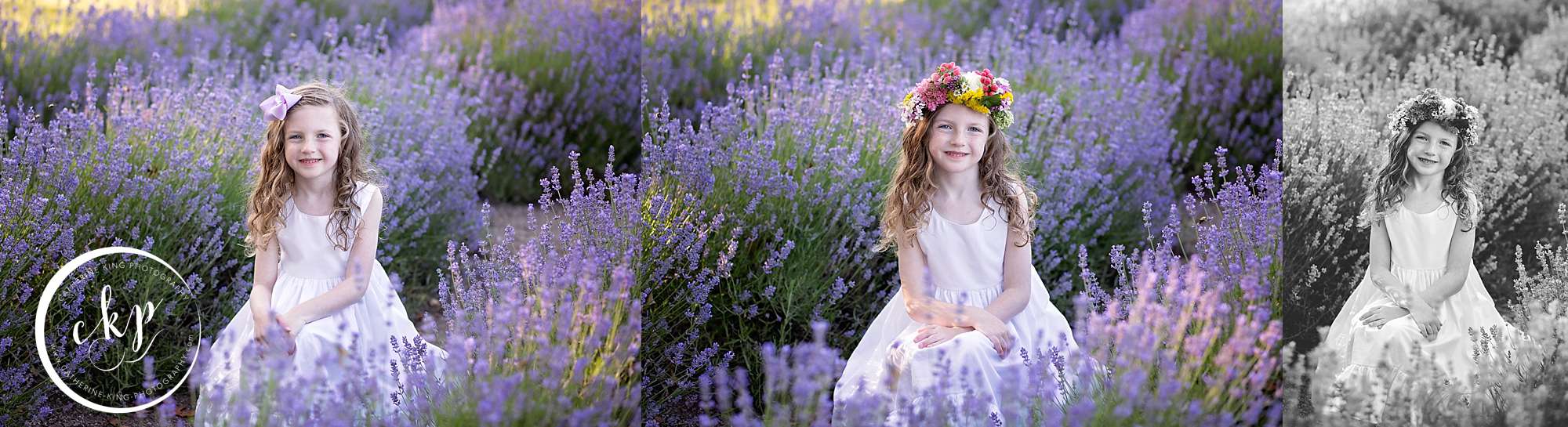 lavender photography session with catherine king photography, a madison ct family photographer