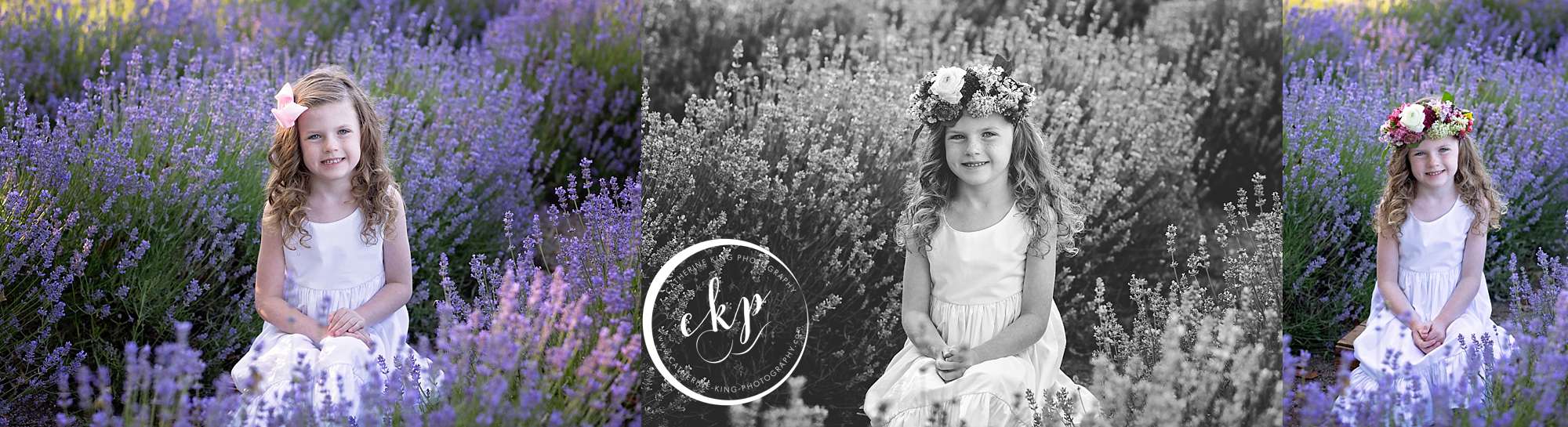 lavender photography session with catherine king photography, a madison ct family photographer