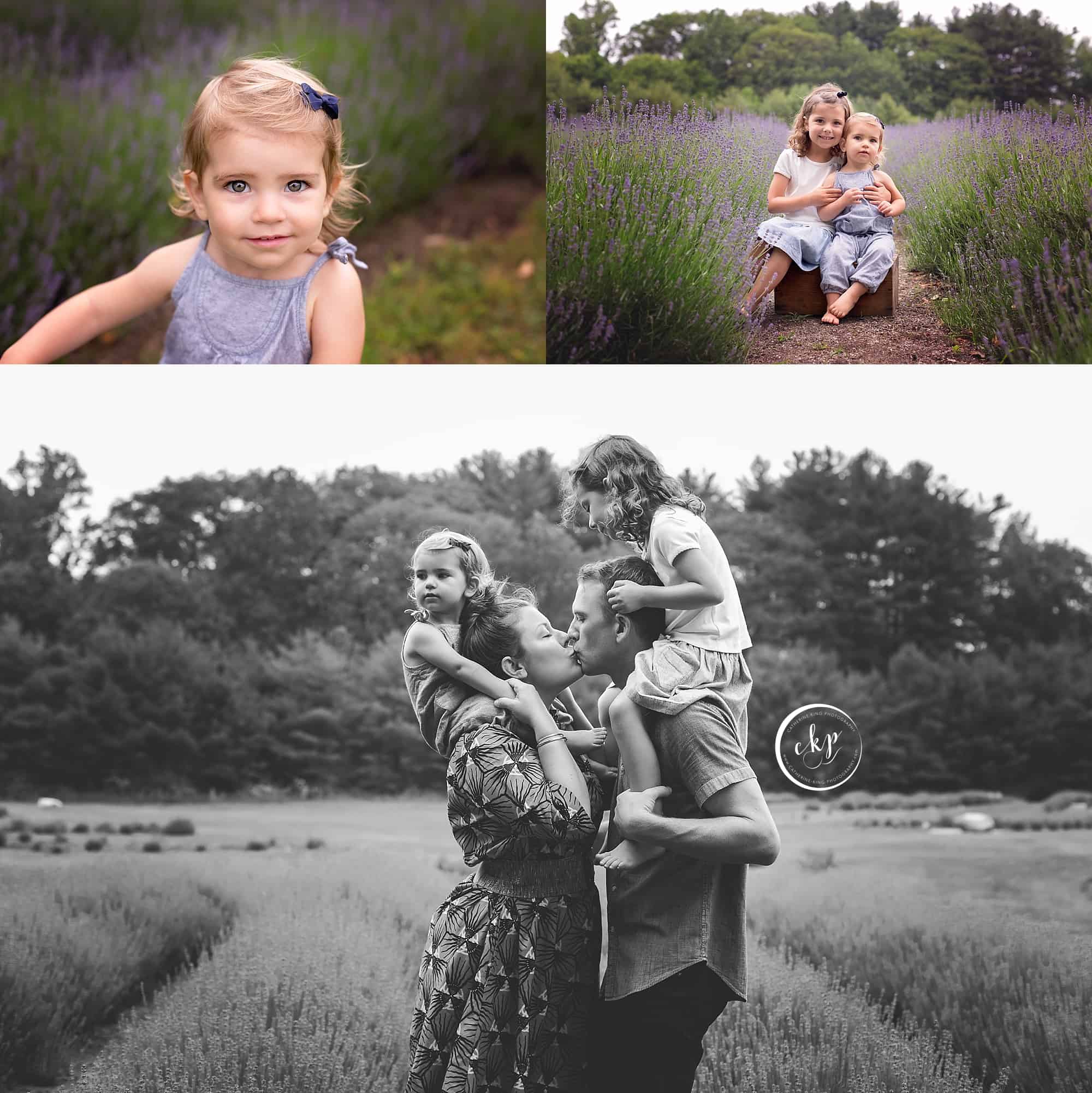 Lavender Family Photography in Kiliingworth CT with Catherine King Photography, a CT Family Photographer
