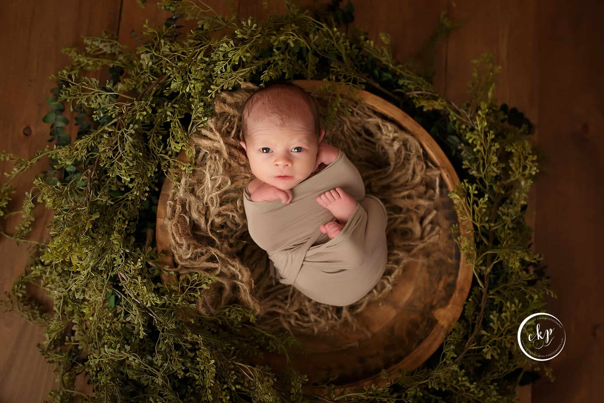 Wyatt newborn portraits ct newborn studio
