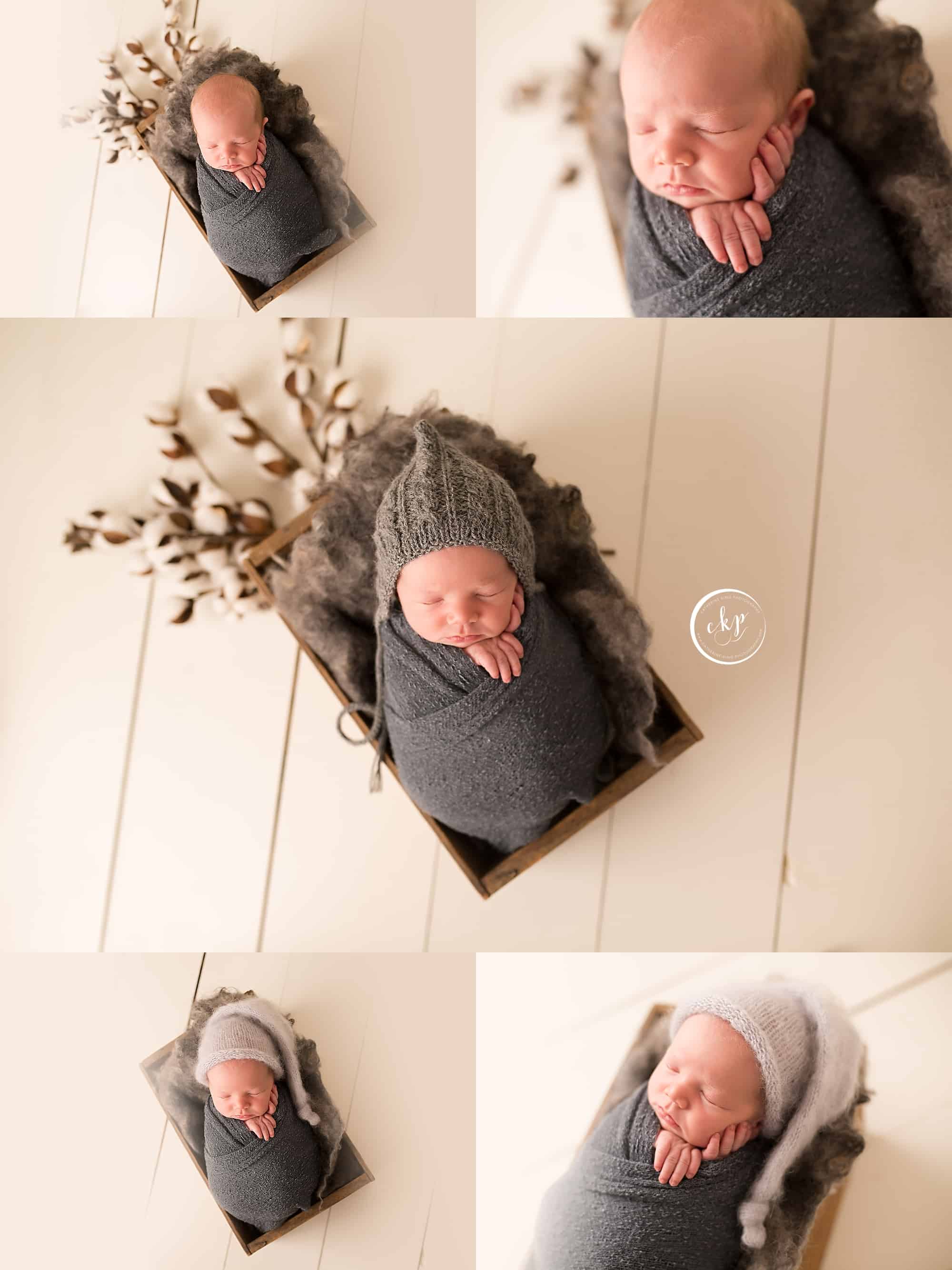 luca newborn photography in madison ct studio