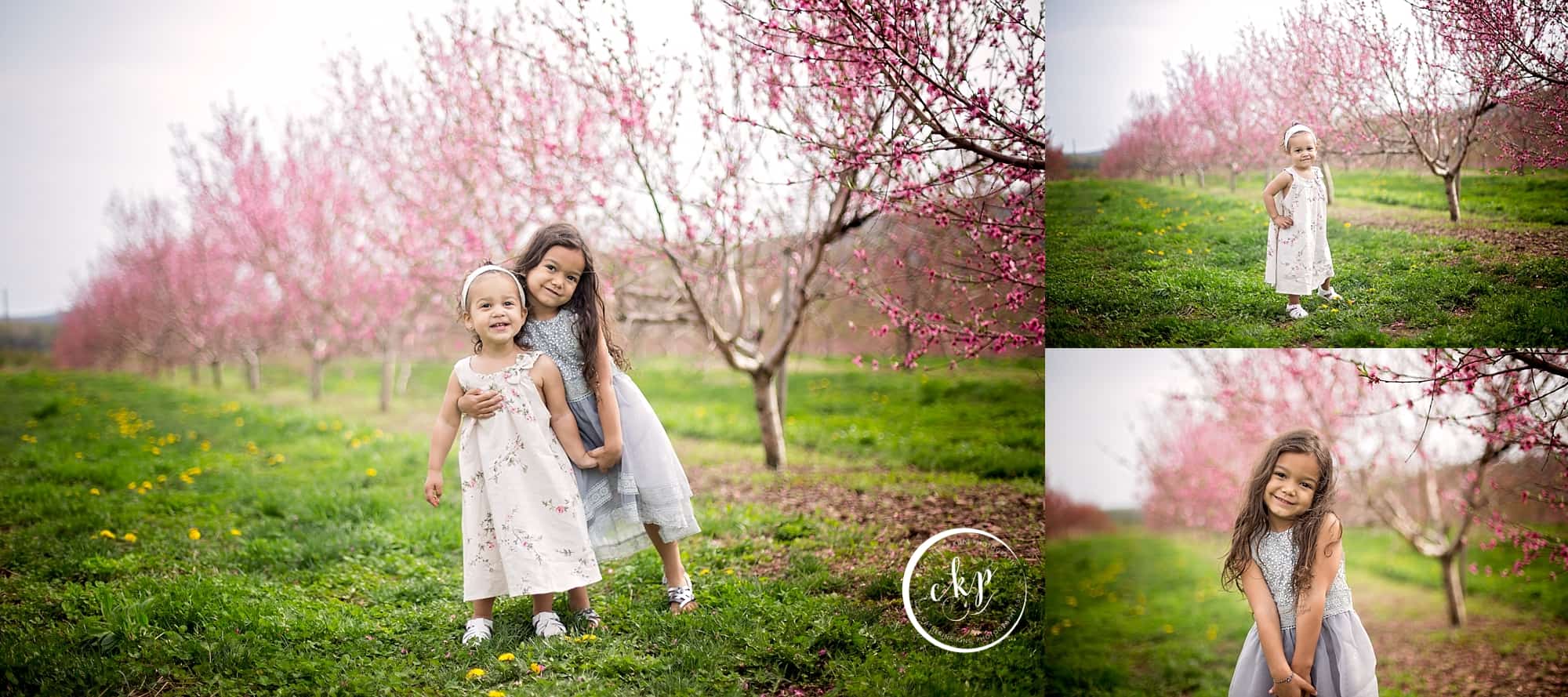ct photographer at the pear and peach blossoms