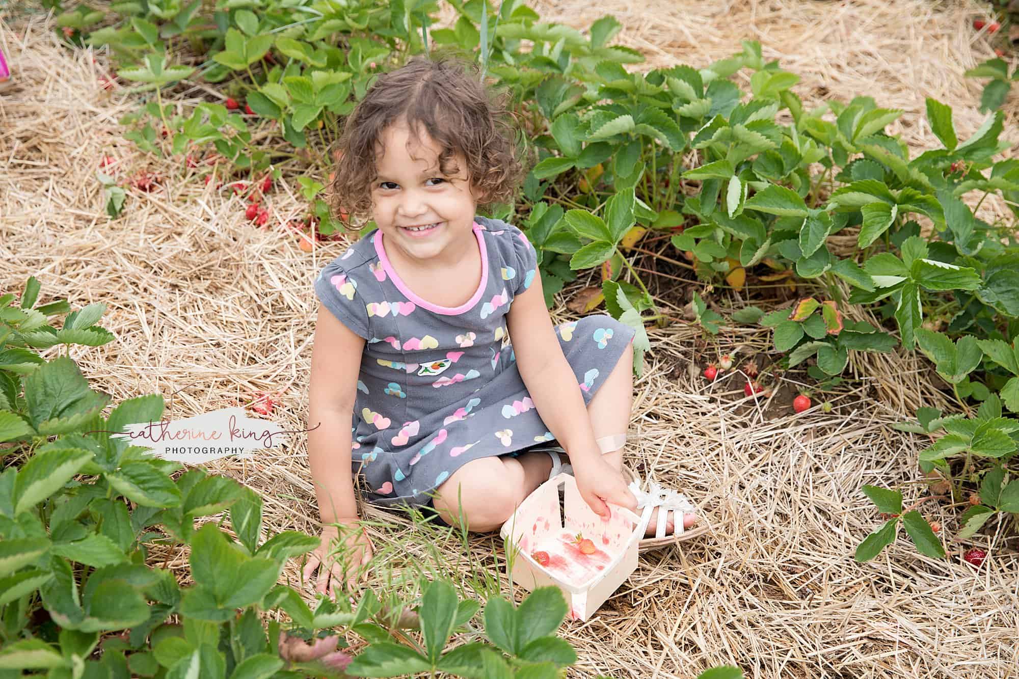 Fun things to do in CT this summer - Strawberry picking at Bishop's Orchard