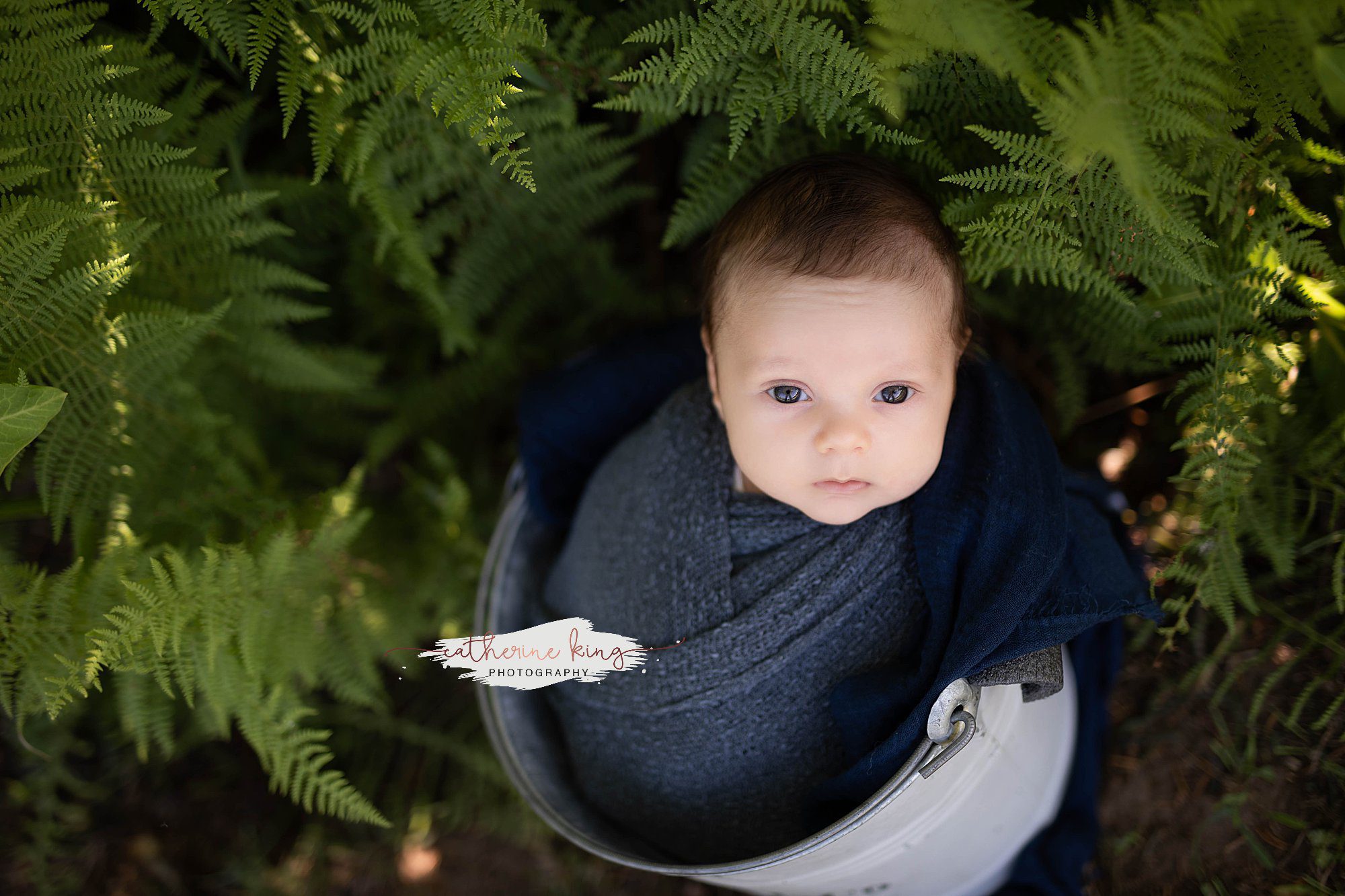 Micah, outdoor newborn photoshoot