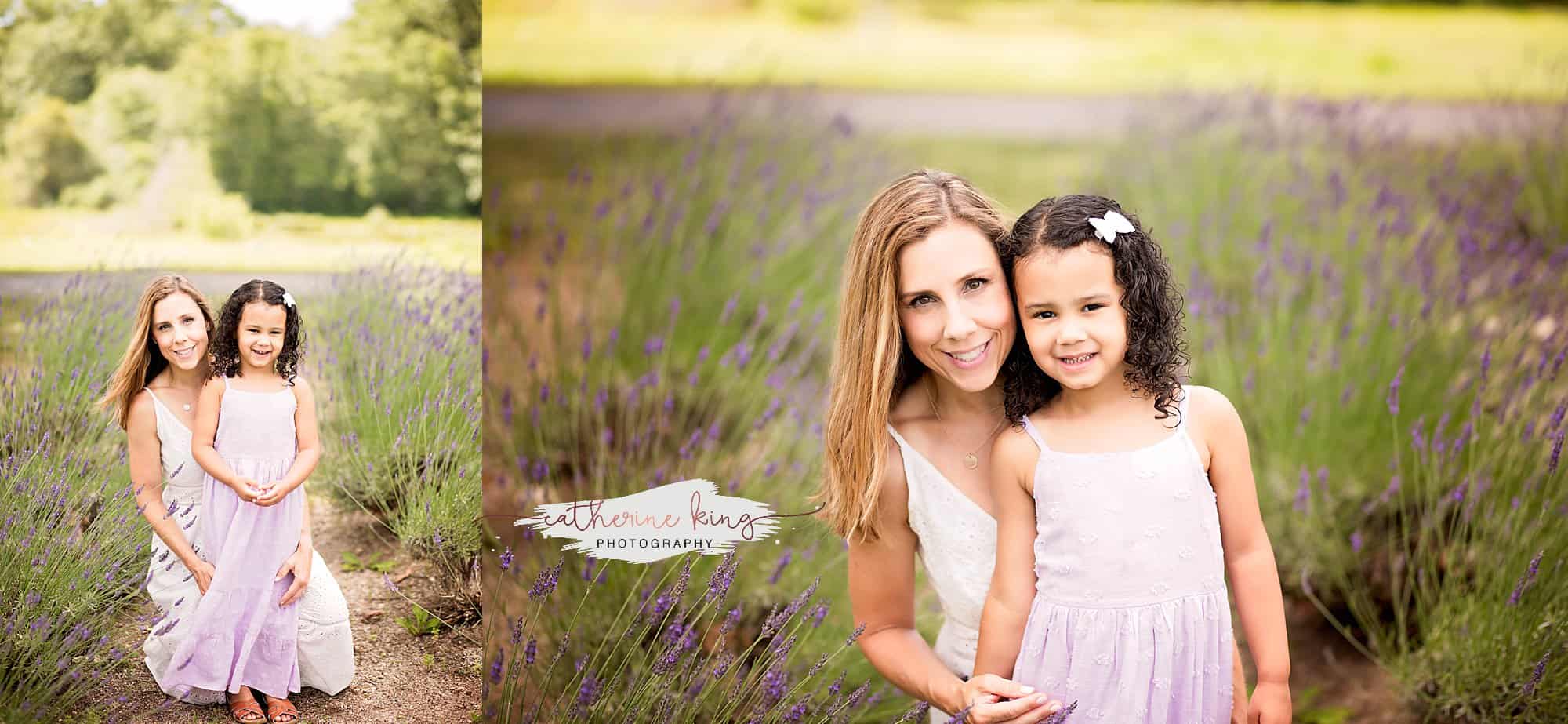 Lavender Mini Photography Sessions in Killingworth CT