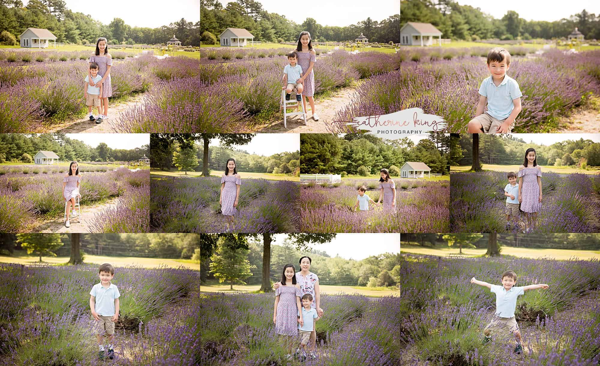Annual Lavender Farm Photography sessions 2021 Killingworth CT
