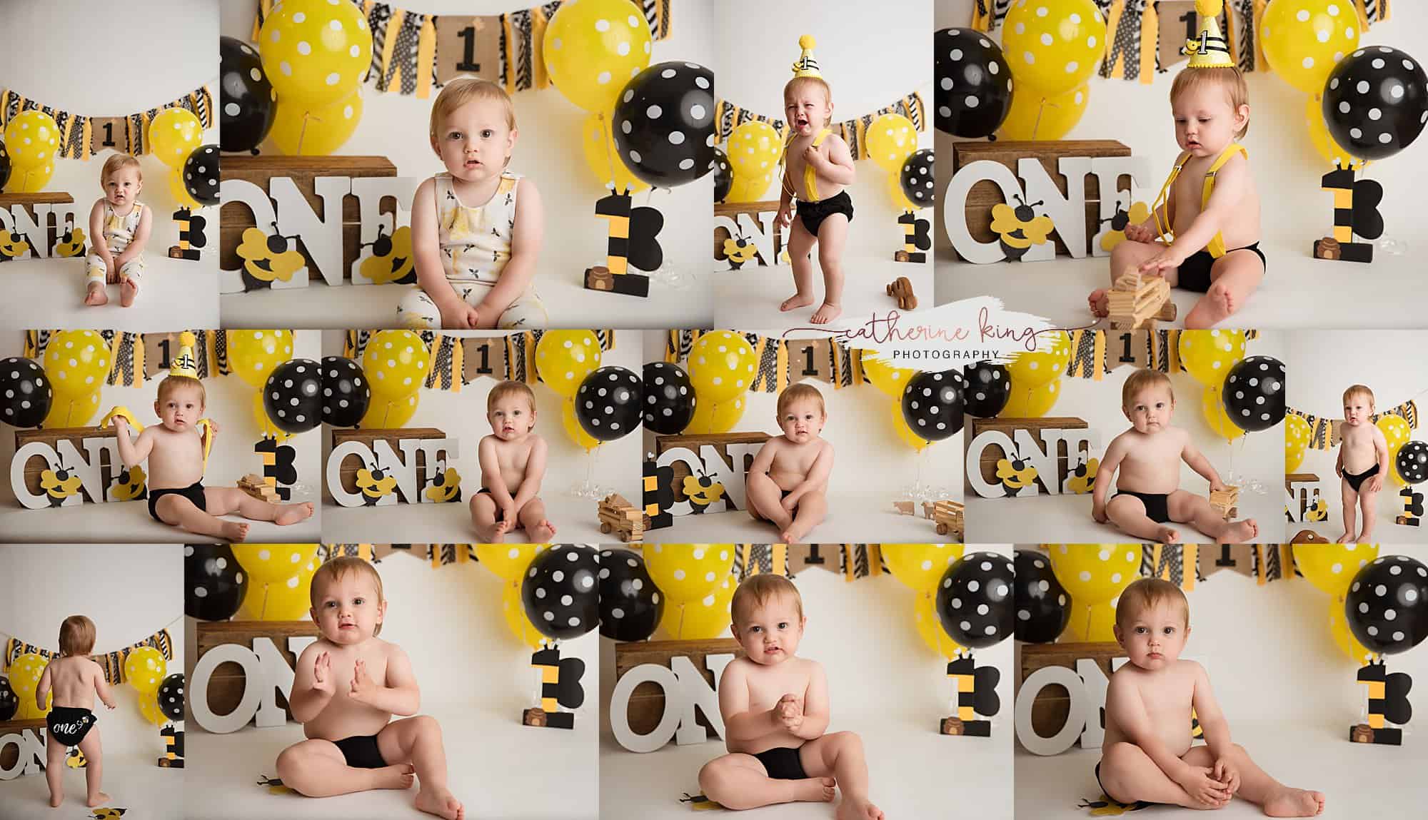 Micah's busy bee first birthday photoshoot