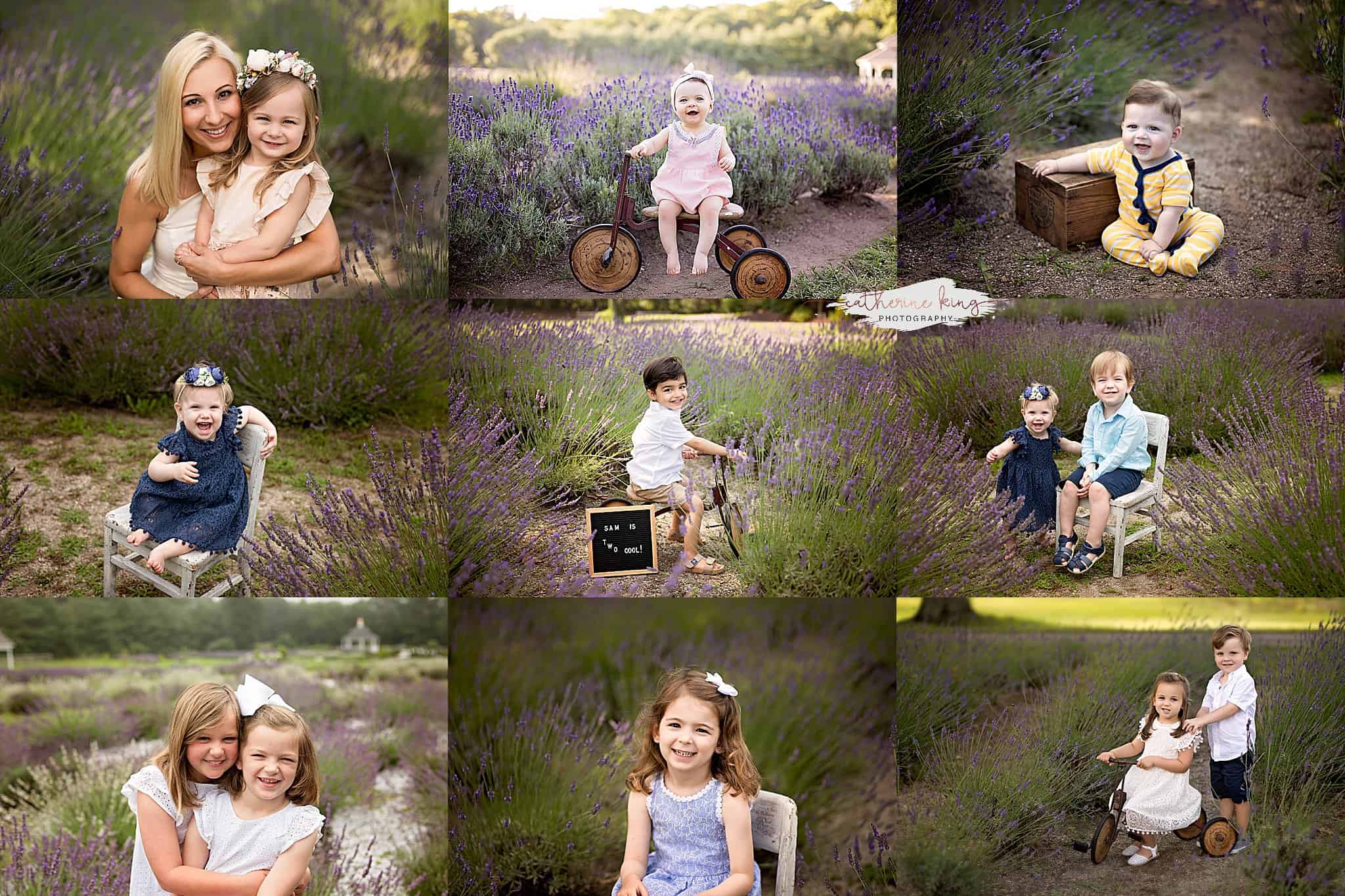 lavender photoshoots in connecticut