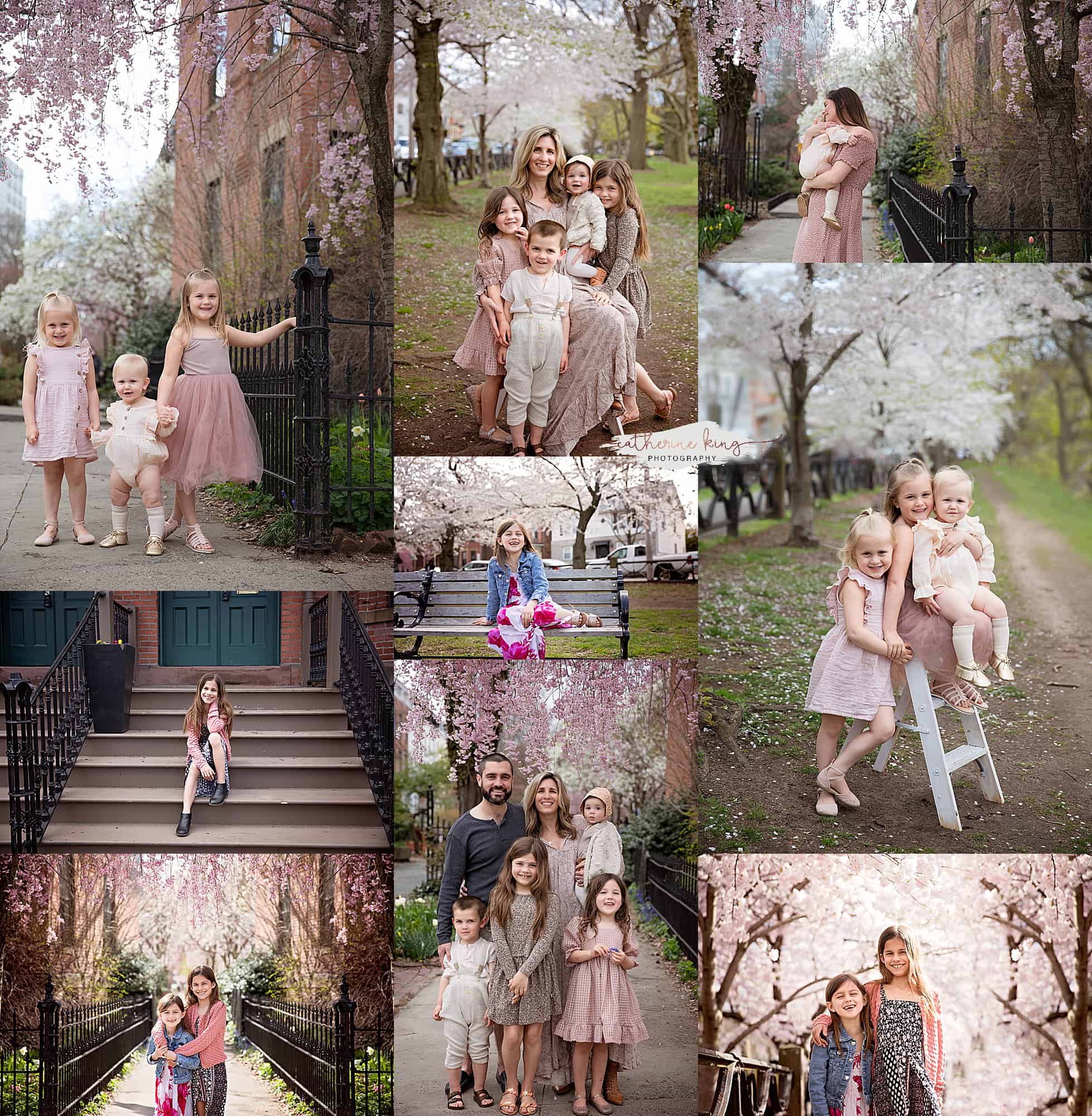Family photography with New Haven CT Cherry Blossoms this Spring