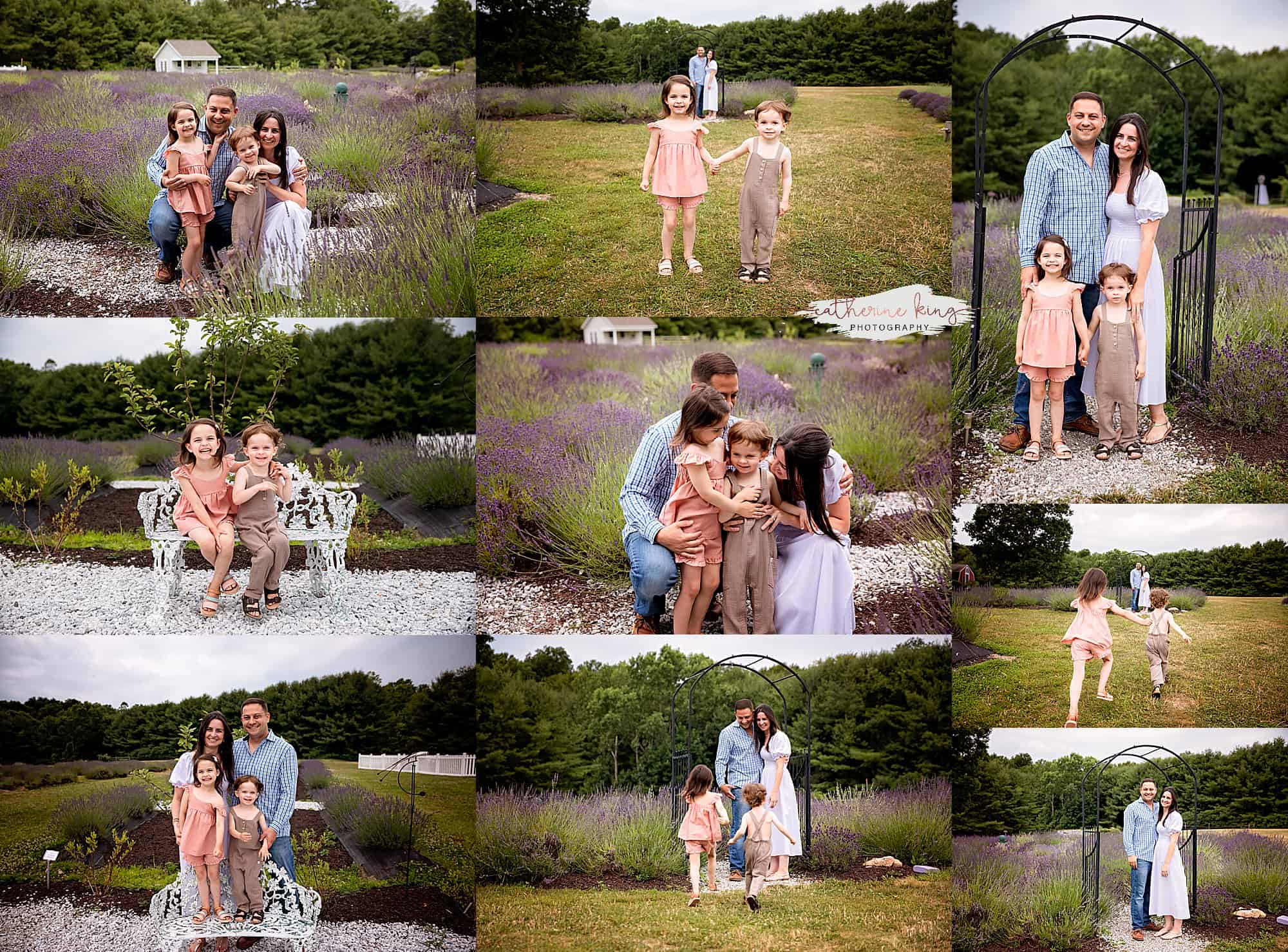 First CT Lavender Farm family photography session 2022