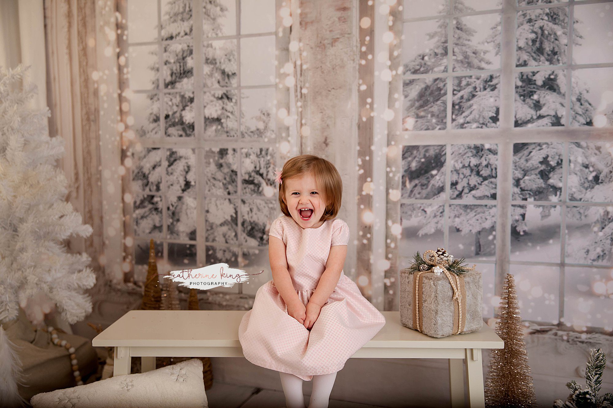 I am thrilled to announce our exclusive Holiday and Christmas Mini Photography Sessions in Madison, CT
