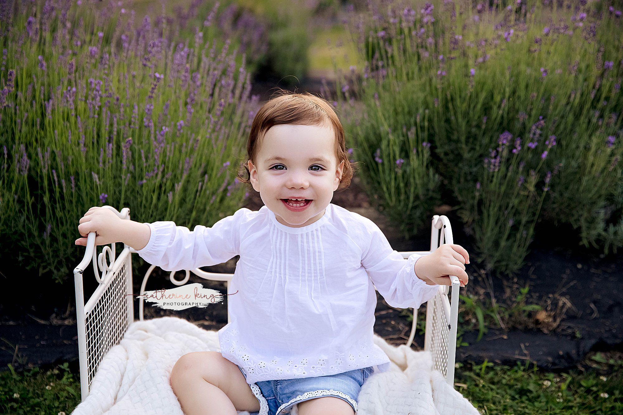 Lavender photography sessions in Killingworth CT 2024