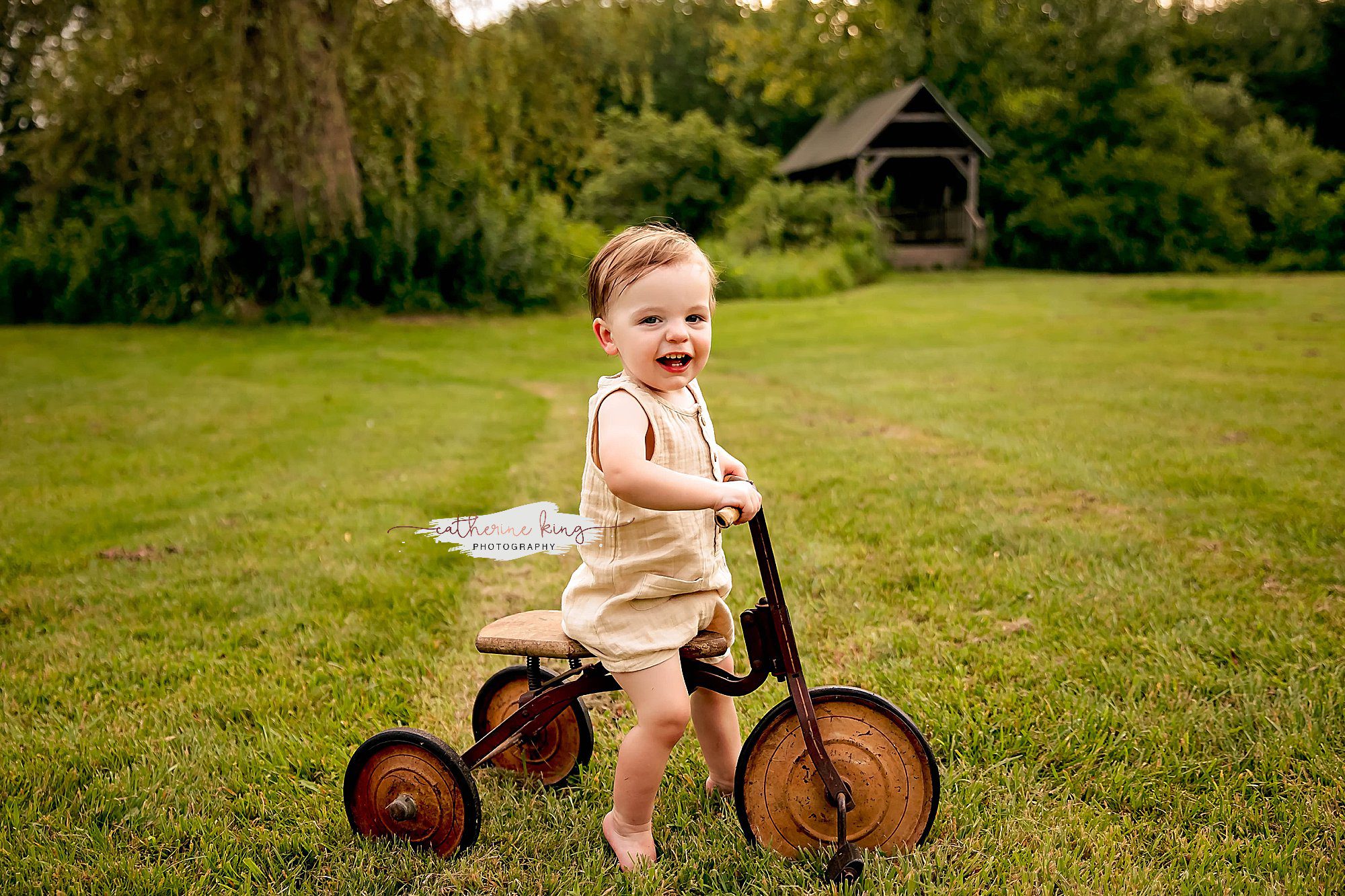 Celebrate Your Baby's First Birthday Milestone with Stunning Photography