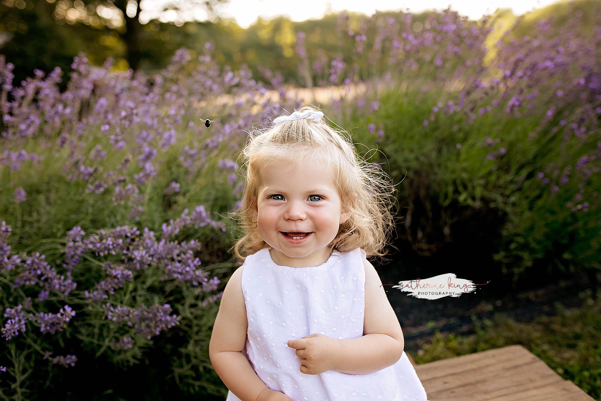 lavender farm photography mini sessions with ct family photographer