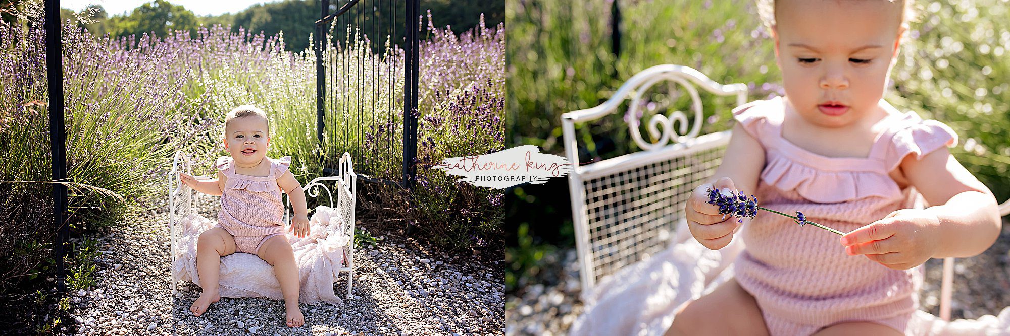 2024 Lavender Pond Farm photography minis in Killingworth, CT