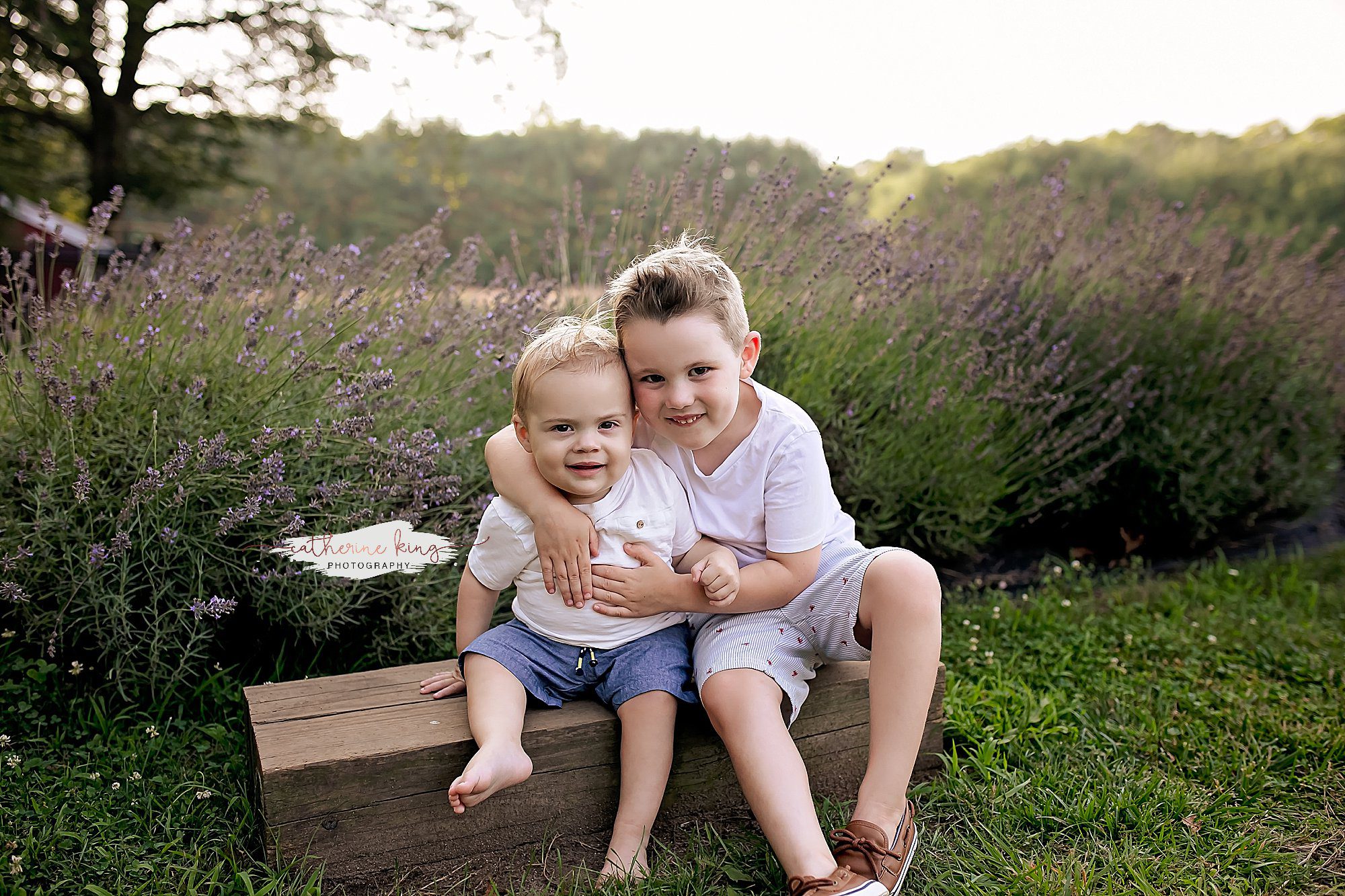 2024 Lavender Pond Farm photography minis in Killingworth, CT