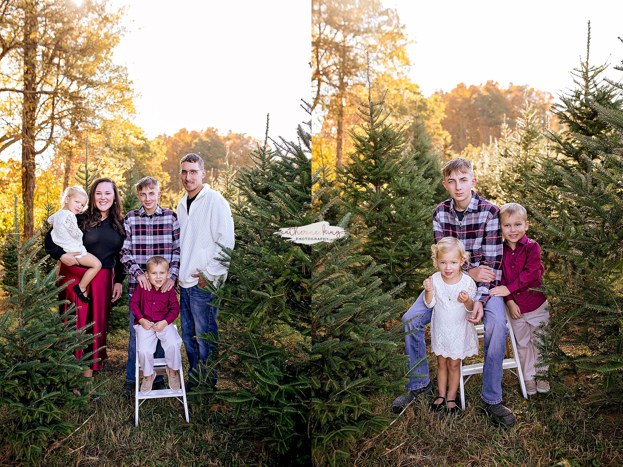 Tree Farm Mini Photography sessions in Connecticut for the Holidays