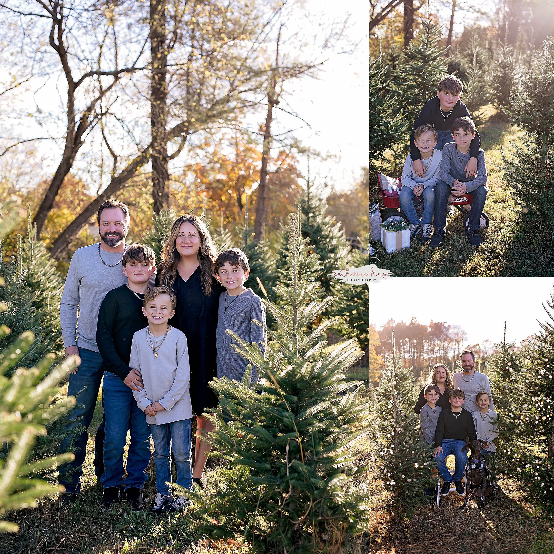 Tree Farm Mini Photography sessions in Connecticut for the Holidays