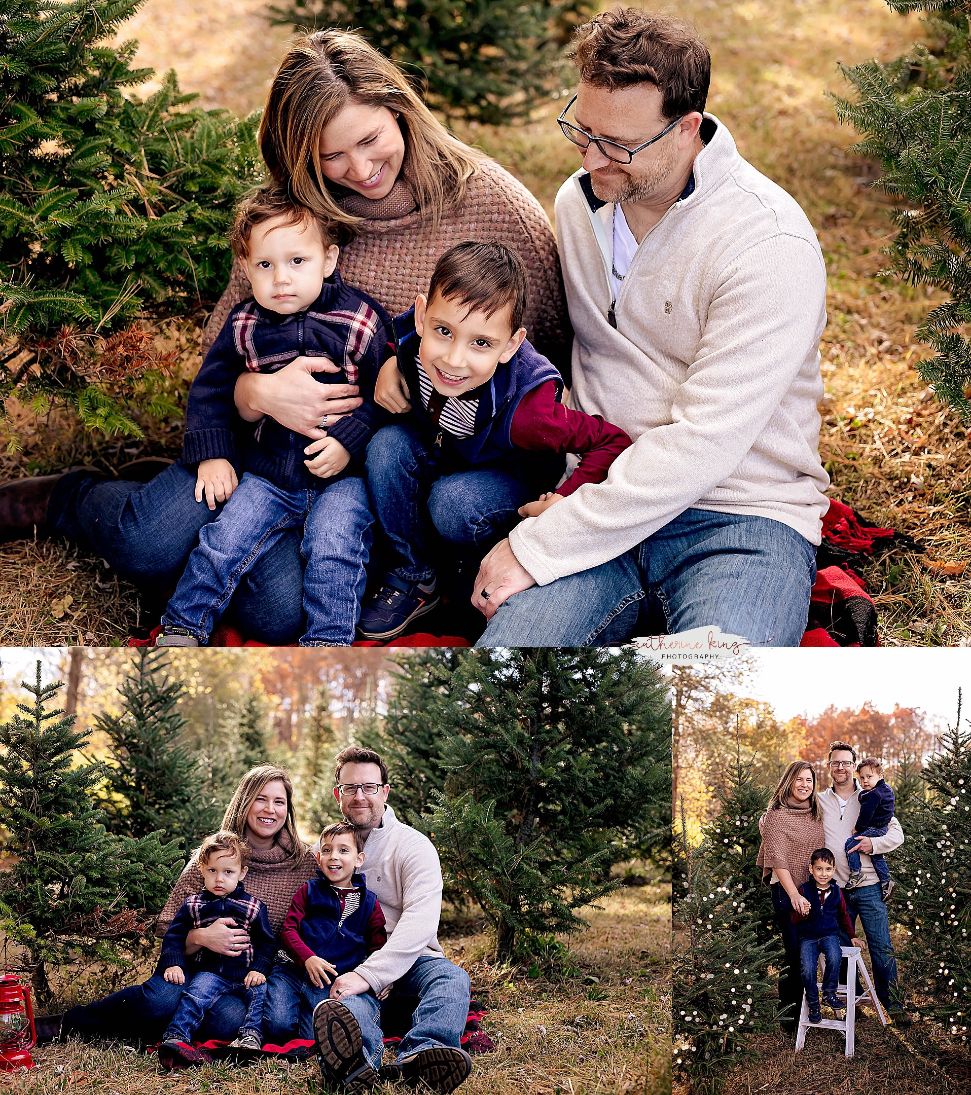 Tree Farm Mini Photography sessions in Connecticut for the Holidays