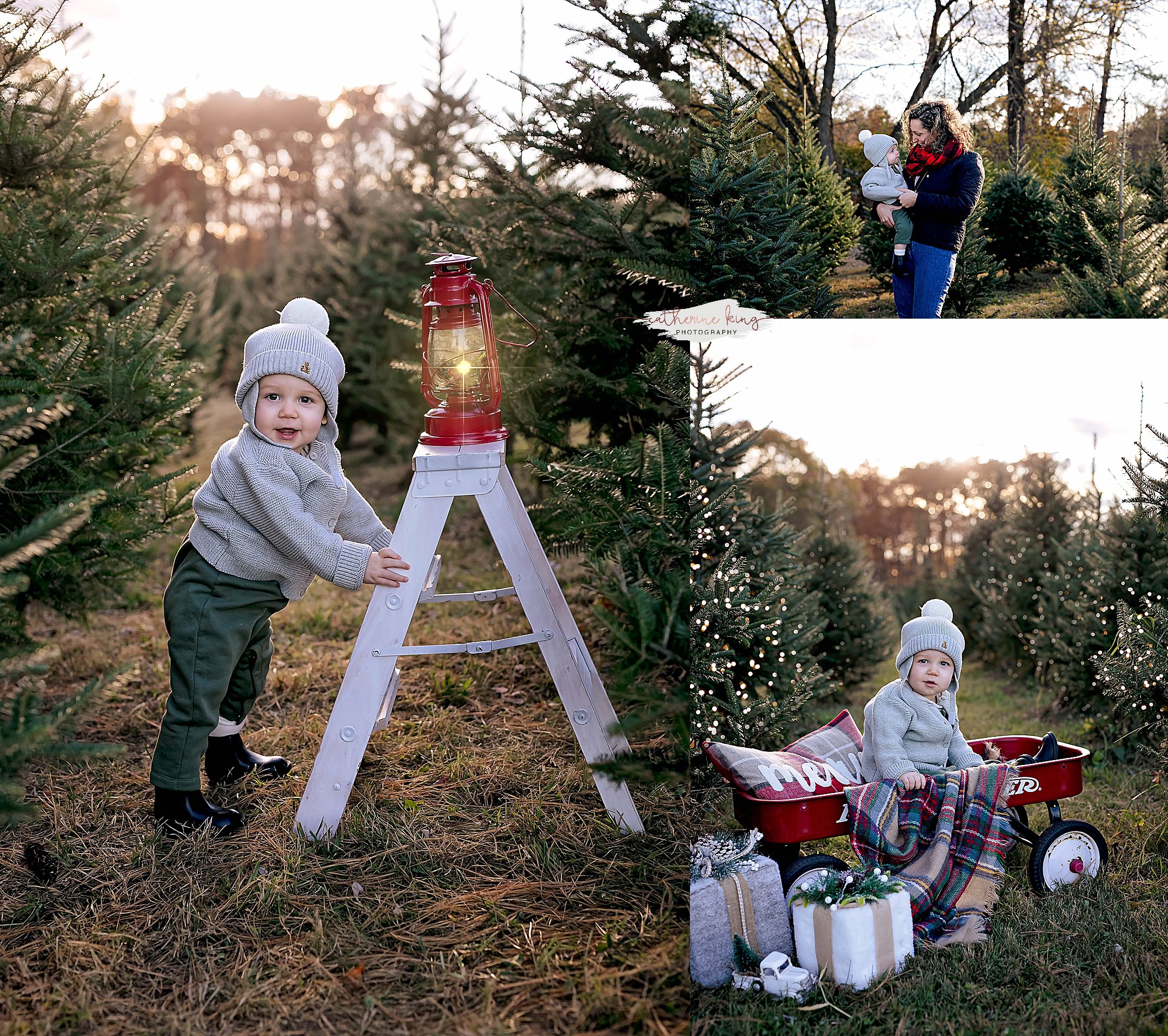 Tree Farm Mini Photography sessions in Connecticut for the Holidays