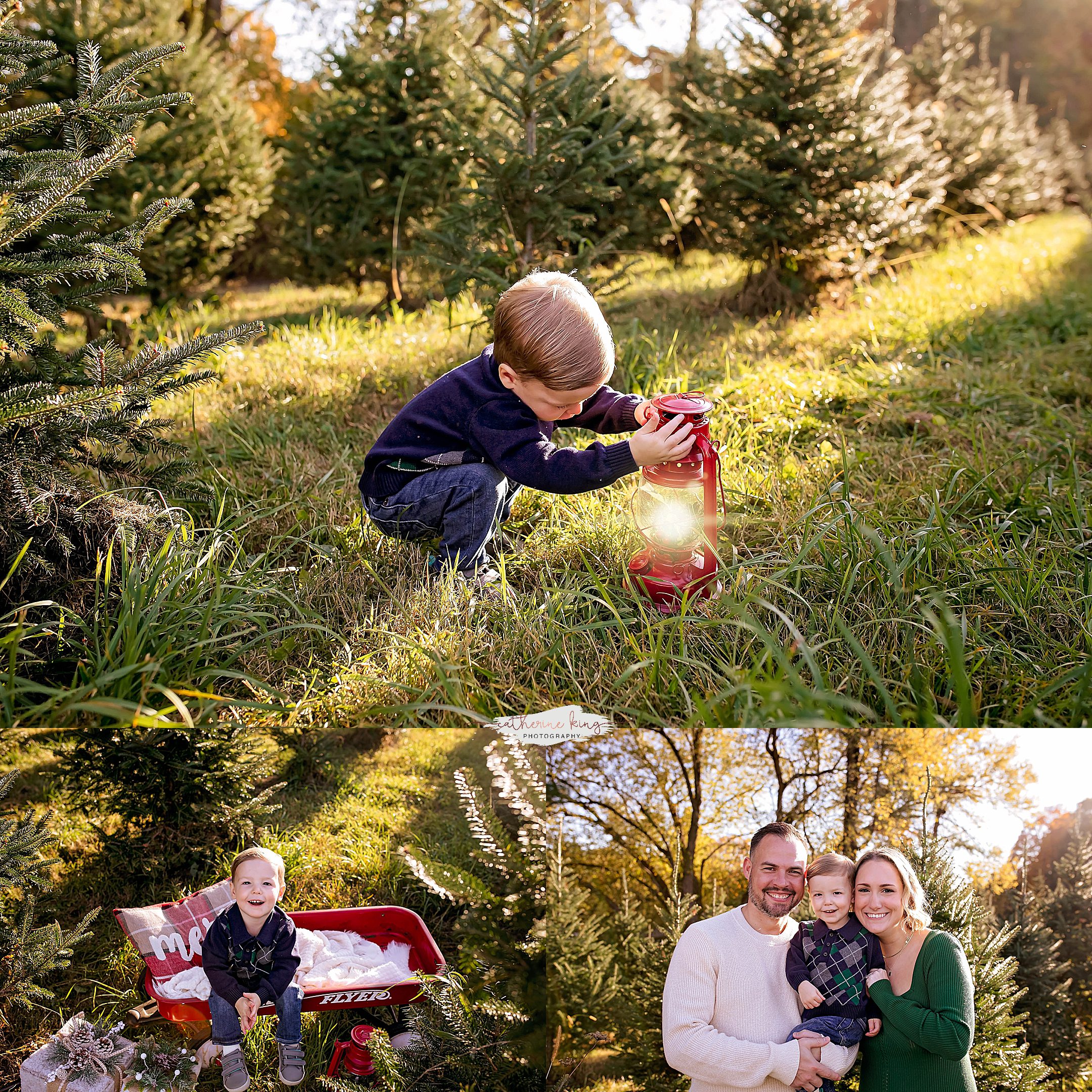 Tree Farm Mini Photography sessions in Connecticut for the Holidays