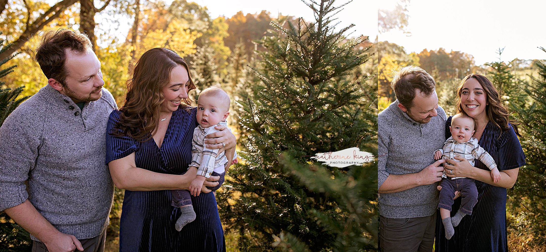 Tree Farm Mini Photography sessions in Connecticut for the Holidays