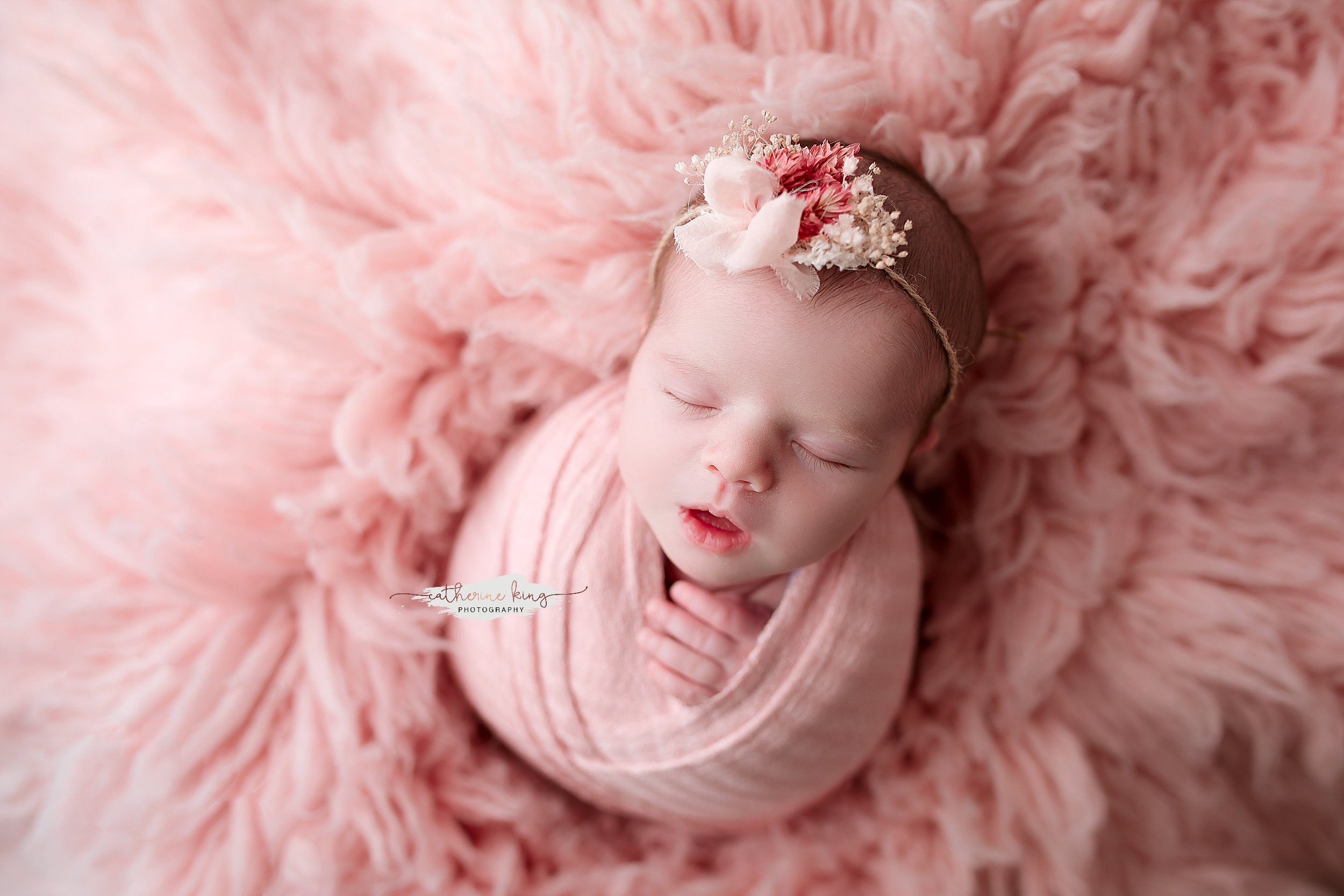 madison ct newborn photographer