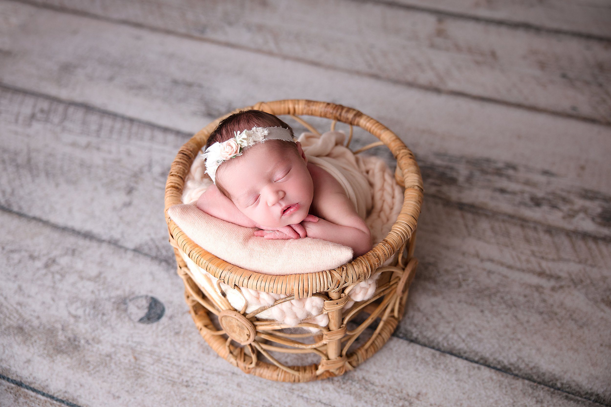 madison ct newborn photographer first year plan