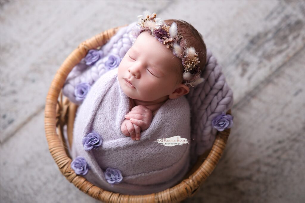 posed newborn photography madison ct