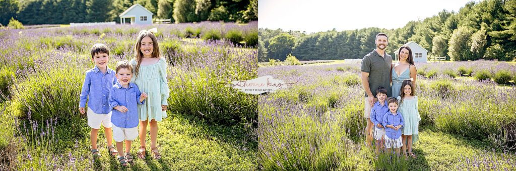 connecticut shoreline family photographer lavender