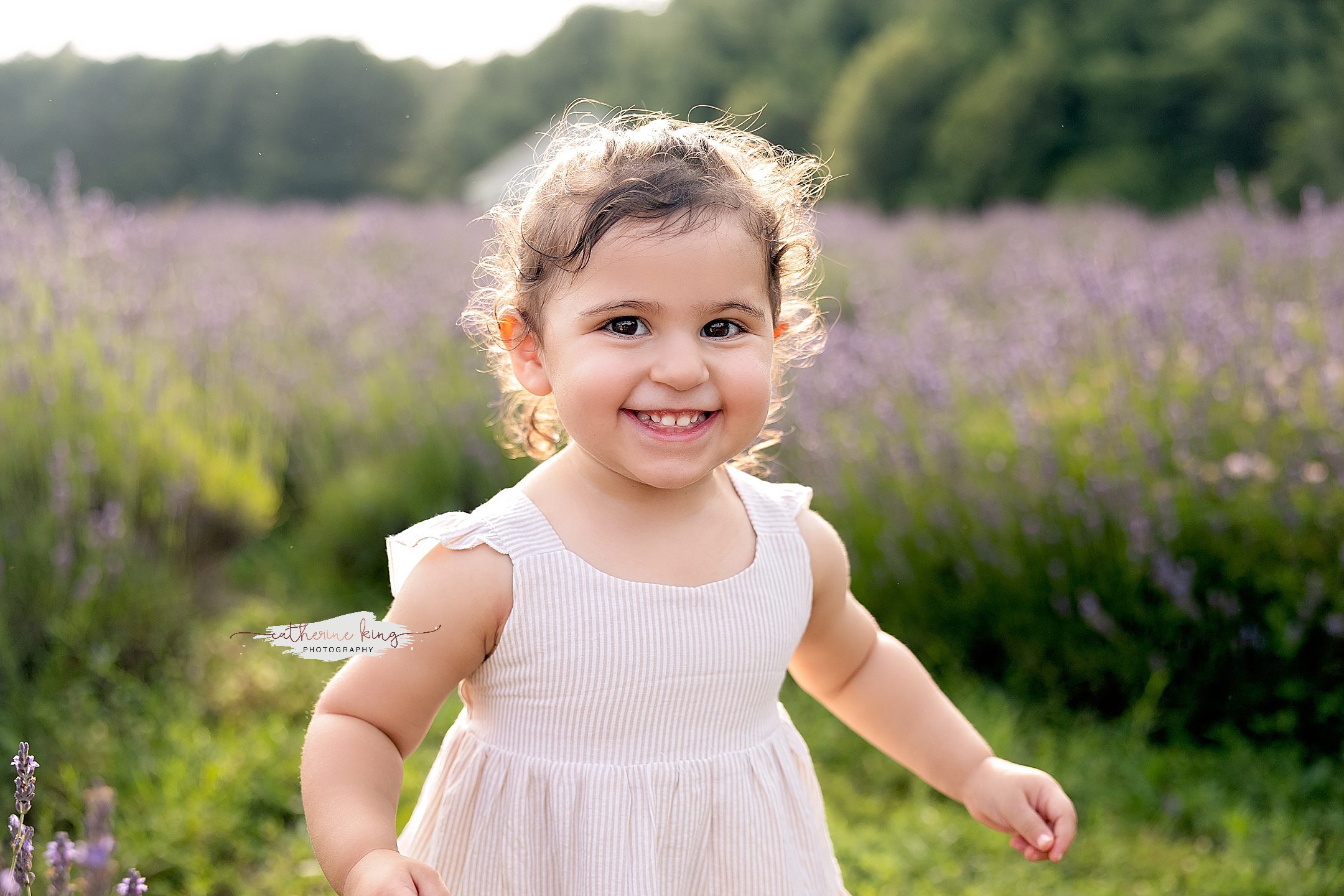 lavender pond farm mini sessions killingworth ct 2026